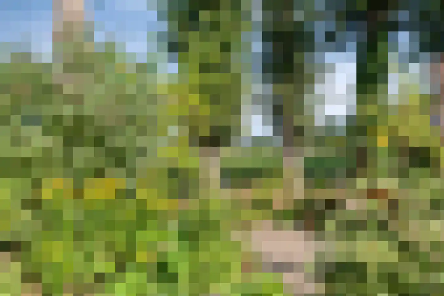Oude Kerkweg 6 Zenderen thumbnail 40