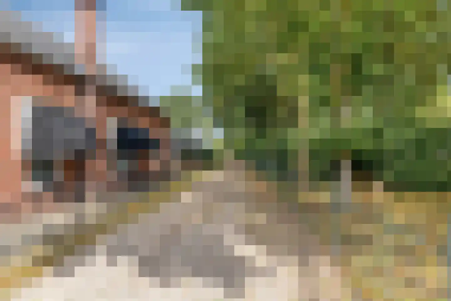 Oude Kerkweg 6 Zenderen thumbnail 41