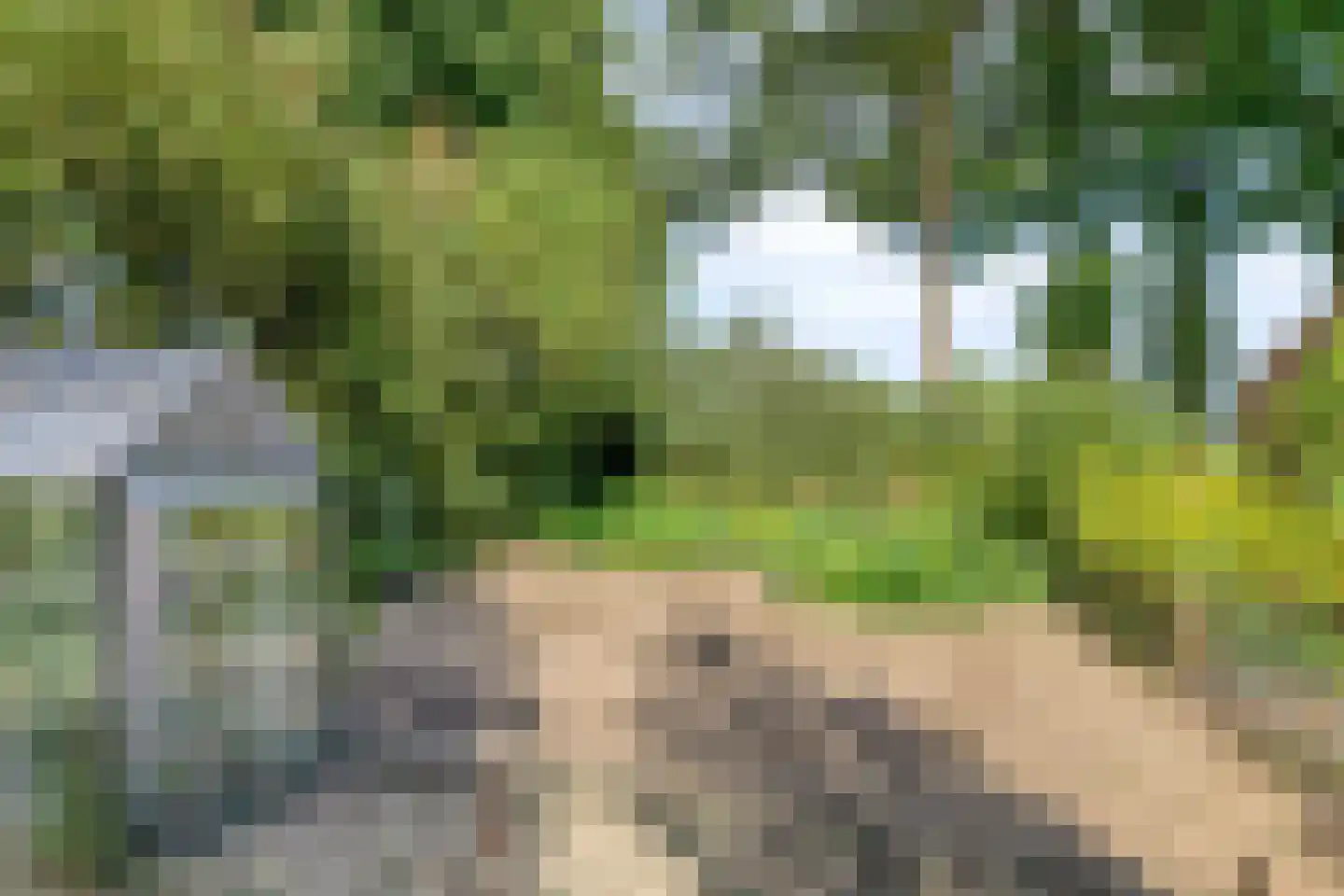 Oude Kerkweg 6 Zenderen thumbnail 8