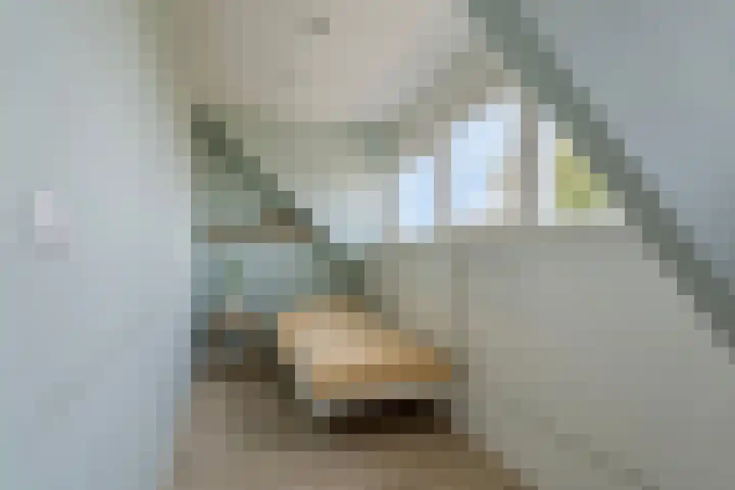 Oude Kerkweg 86 Doornspijk thumbnail 32