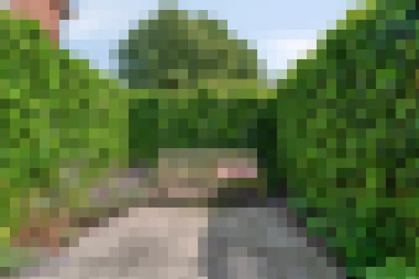 Oude Kerkweg 86 Doornspijk thumbnail 35