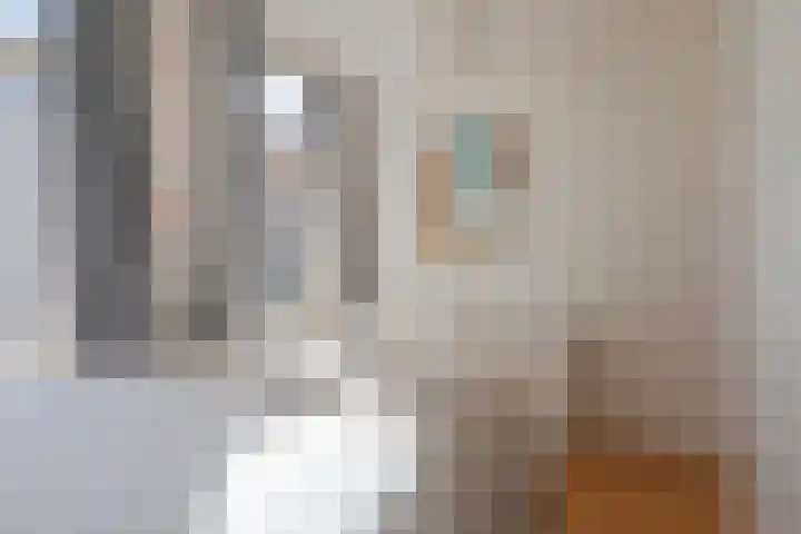 Oude Kijk in 't Jatstraat 52 a Groningen thumbnail 19