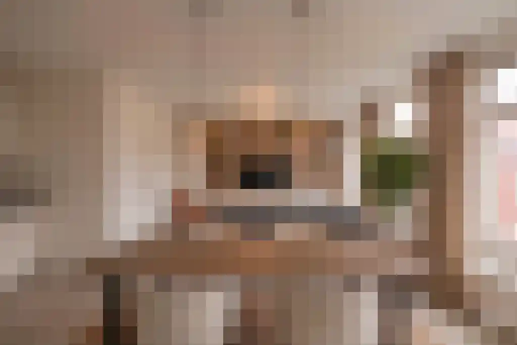 Oude Kijk in 't Jatstraat 52 c Groningen thumbnail 14