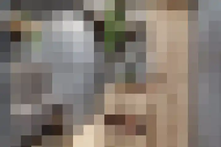 Oude Klapstraat 15 Wijchen thumbnail 19
