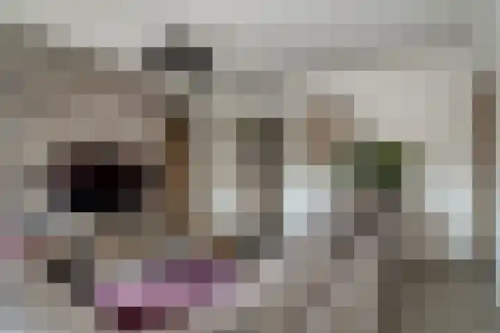 Oude Klapstraat 15 Wijchen thumbnail 7