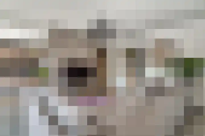 Oude Klapstraat 15 Wijchen thumbnail 8