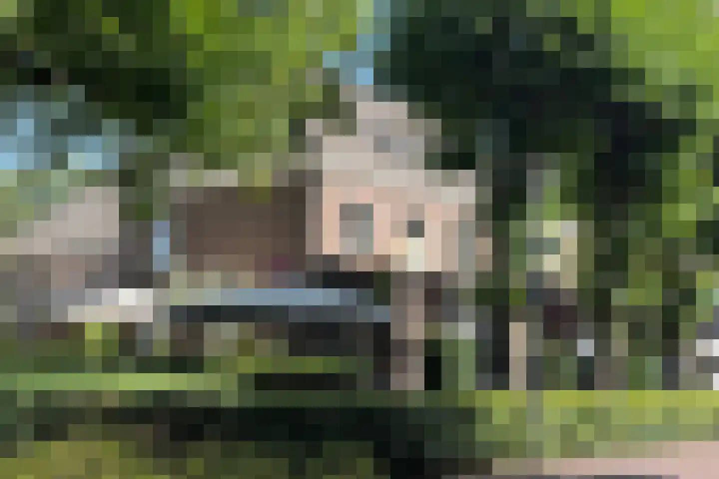 Oude Klapstraat 74 G Wijchen thumbnail 27