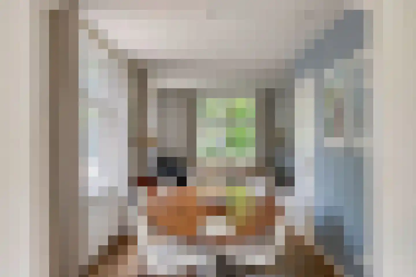 Oude Kleefsebaan 148 Berg en Dal thumbnail 13