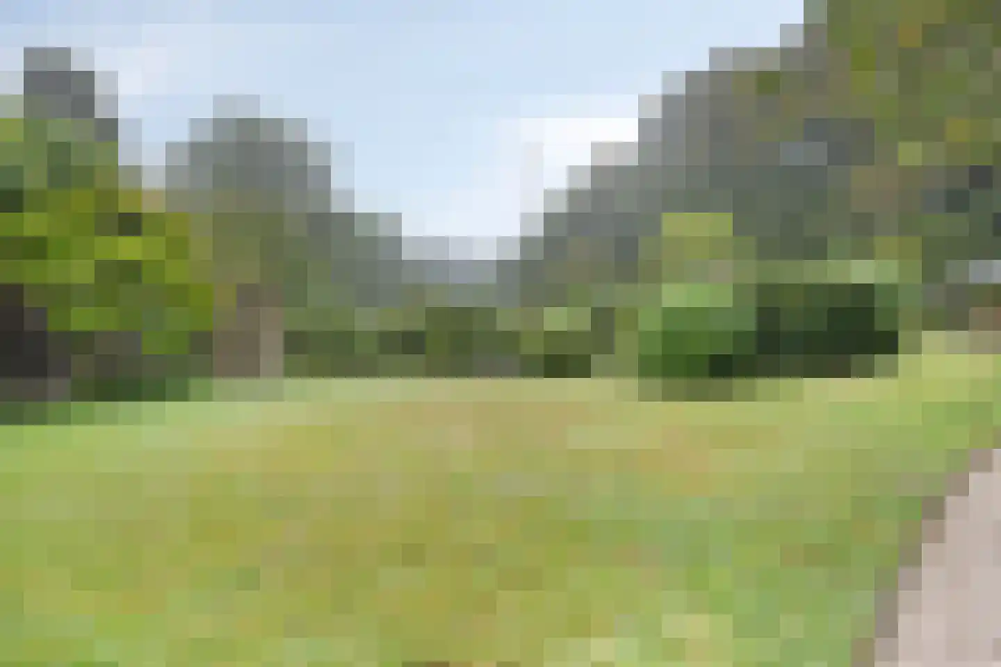 Oude Kleefsebaan 148 Berg en Dal thumbnail 31