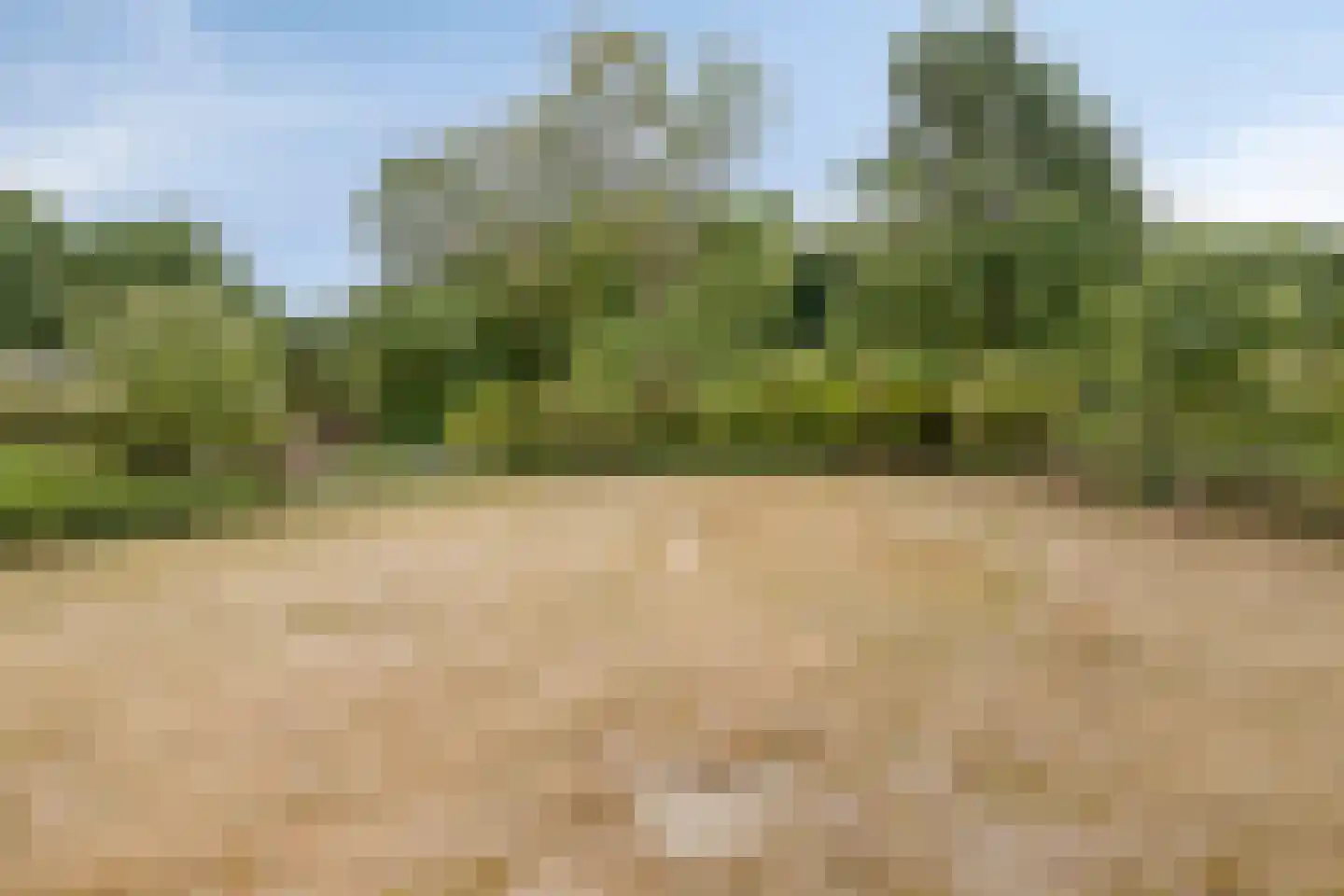 Oude Kleefsebaan 148 Berg en Dal thumbnail 36