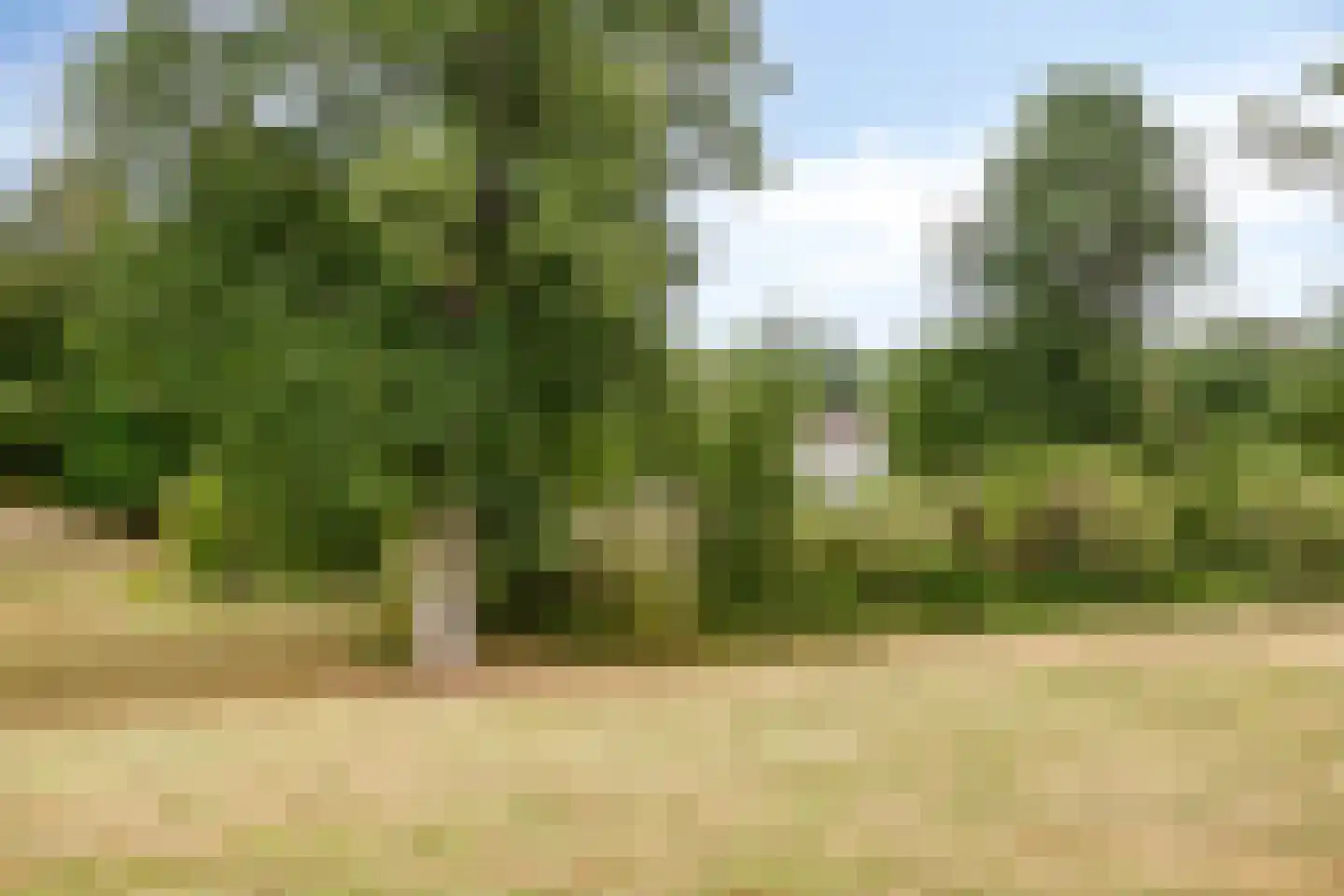 Oude Kleefsebaan 148 Berg en Dal thumbnail 38