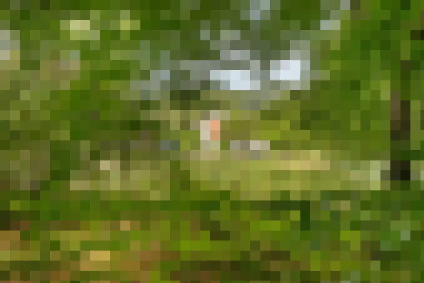 Oude Kleefsebaan 148 Berg en Dal thumbnail 39