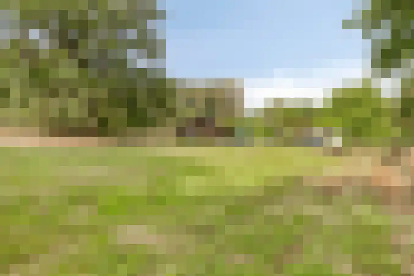 Oude Kleefsebaan 148 Berg en Dal thumbnail 41