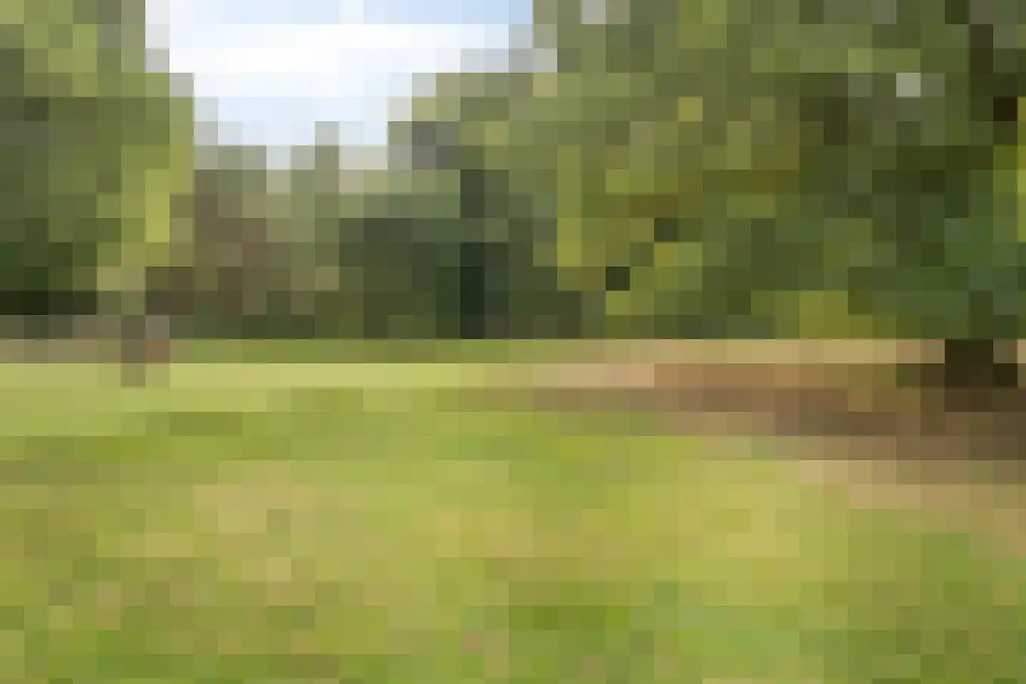 Oude Kleefsebaan 148 Berg en Dal thumbnail 42