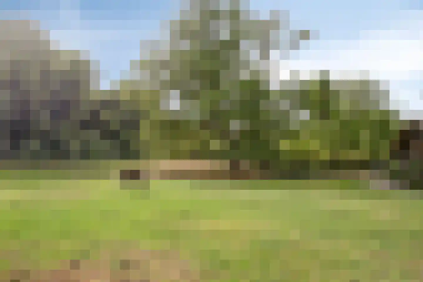 Oude Kleefsebaan 148 Berg en Dal thumbnail 43