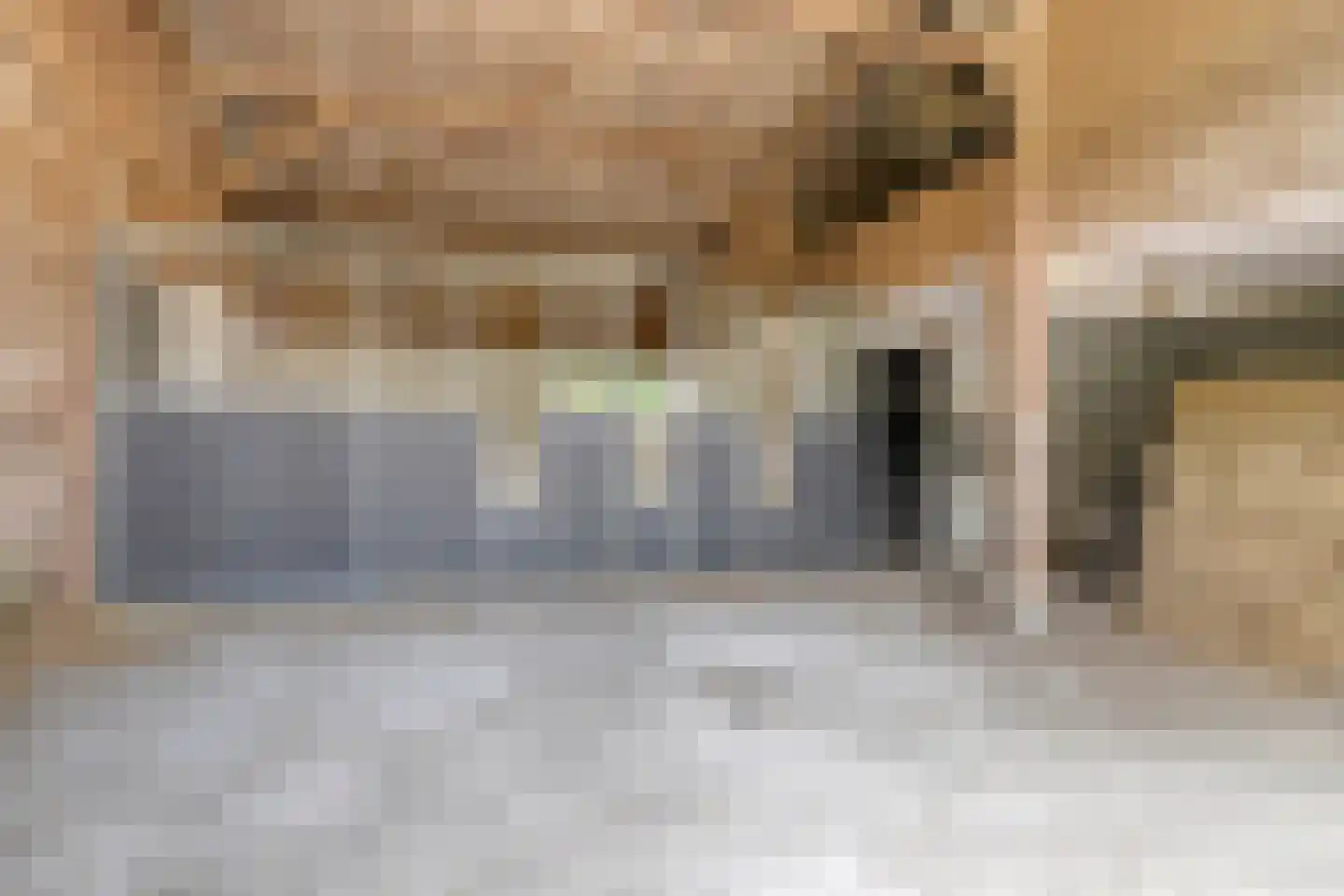 Oude Kleefsebaan 148 Berg en Dal thumbnail 45