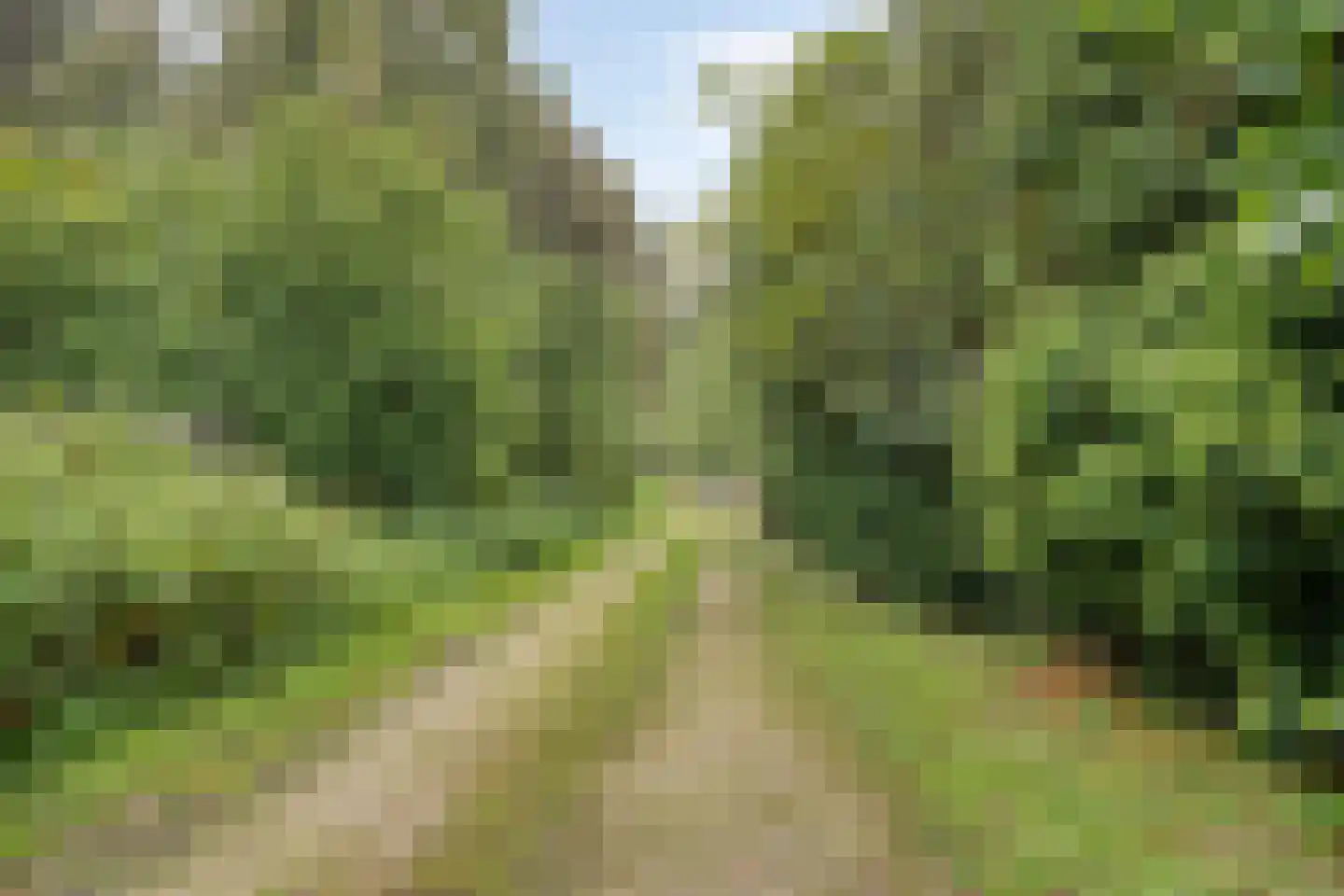 Oude Kleefsebaan 148 Berg en Dal thumbnail 51