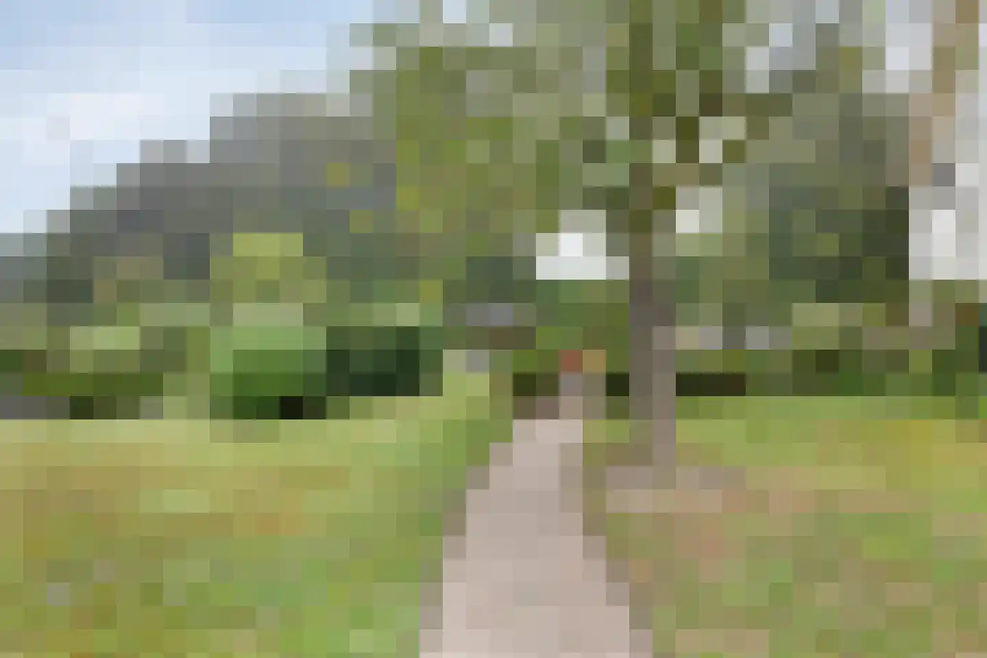Oude Kleefsebaan 148 Berg en Dal thumbnail 52
