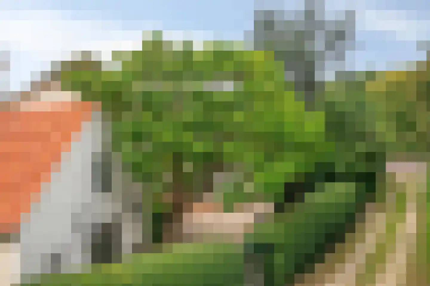 Oude Kleefsebaan 148 Berg en Dal thumbnail 54