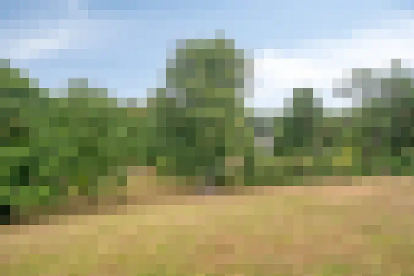 Oude Kleefsebaan 148 Berg en Dal thumbnail 55