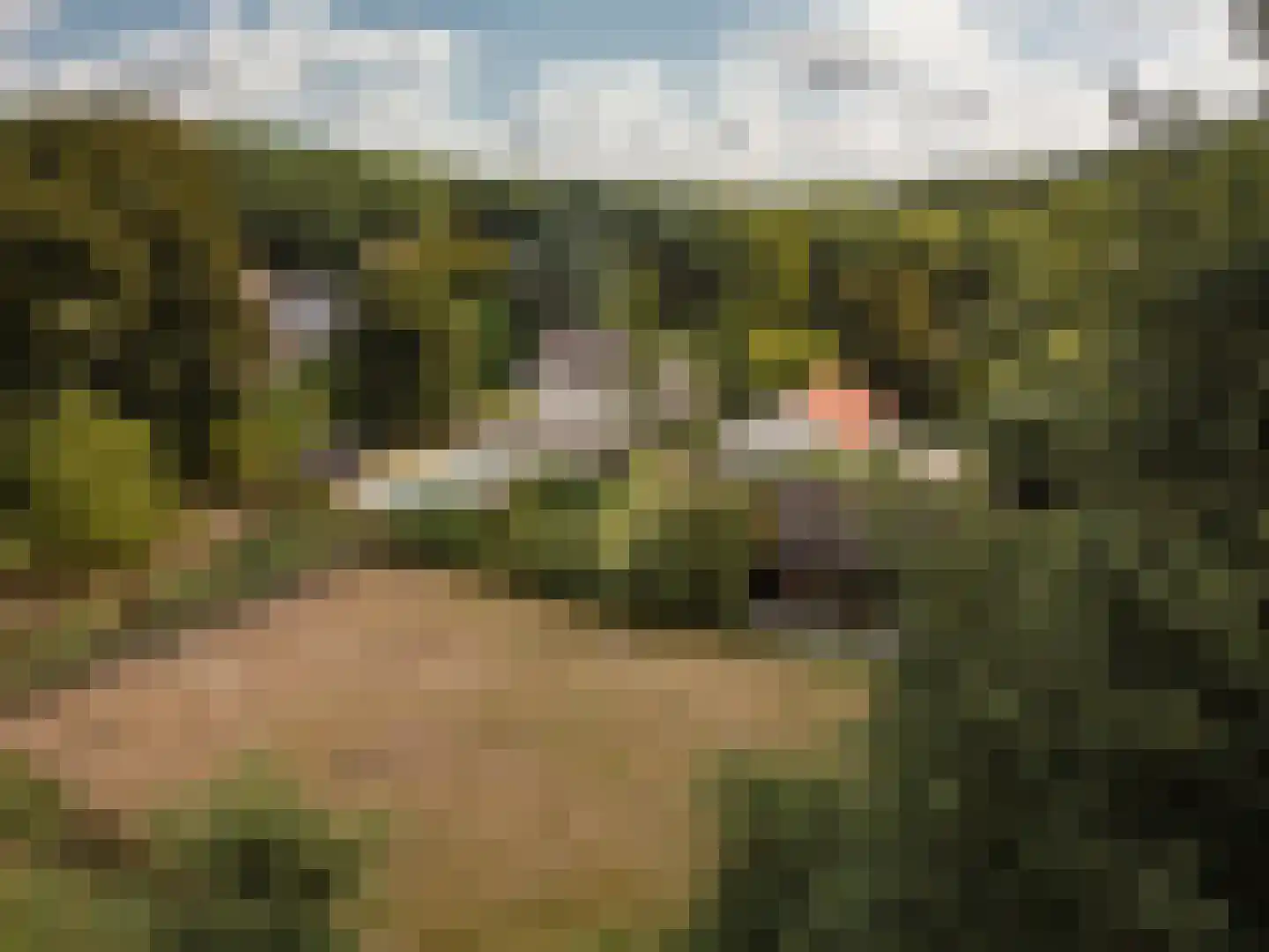 Oude Kleefsebaan 148 Berg en Dal thumbnail 59