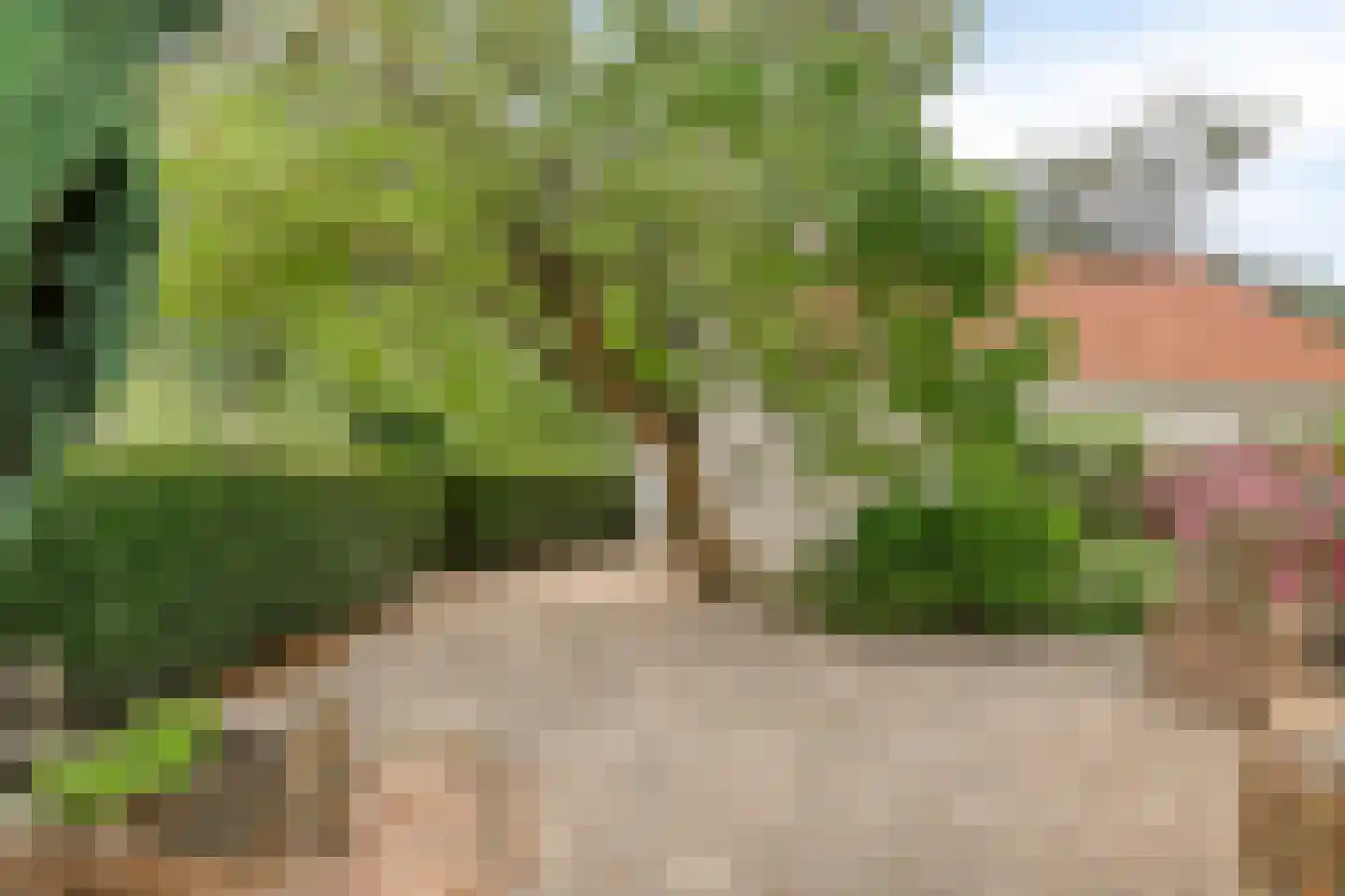 Oude Kleefsebaan 148 Berg en Dal thumbnail 6