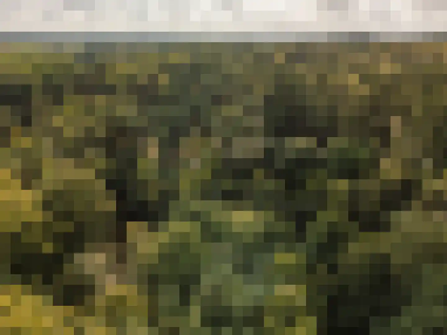 Oude Kleefsebaan 148 Berg en Dal thumbnail 60