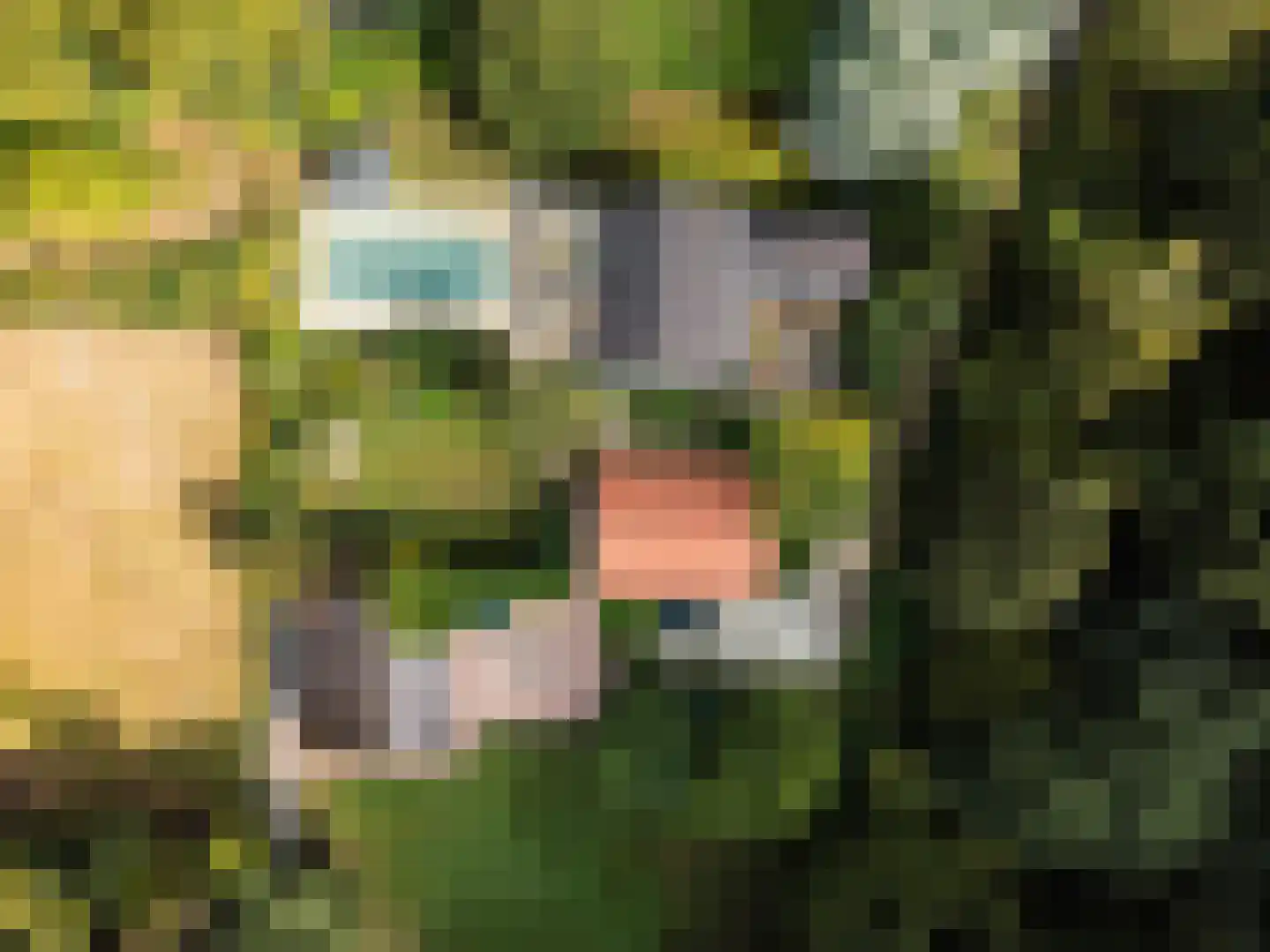Oude Kleefsebaan 148 Berg en Dal thumbnail 64