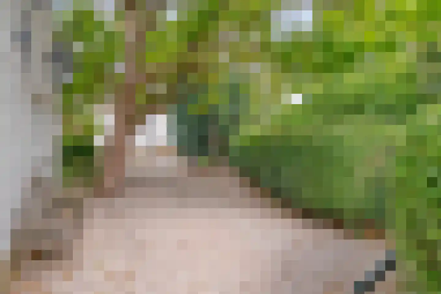 Oude Kleefsebaan 148 Berg en Dal thumbnail 7