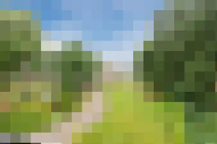 Oude Kleefsebaan 163 Berg en Dal thumbnail 15