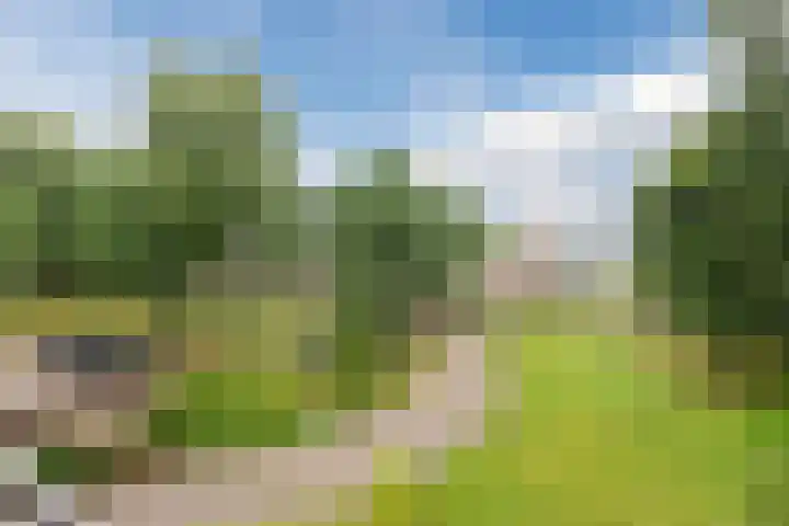 Oude Kleefsebaan 163 Berg en Dal thumbnail 16