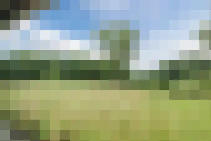 Oude Kleefsebaan 163 Berg en Dal thumbnail 43