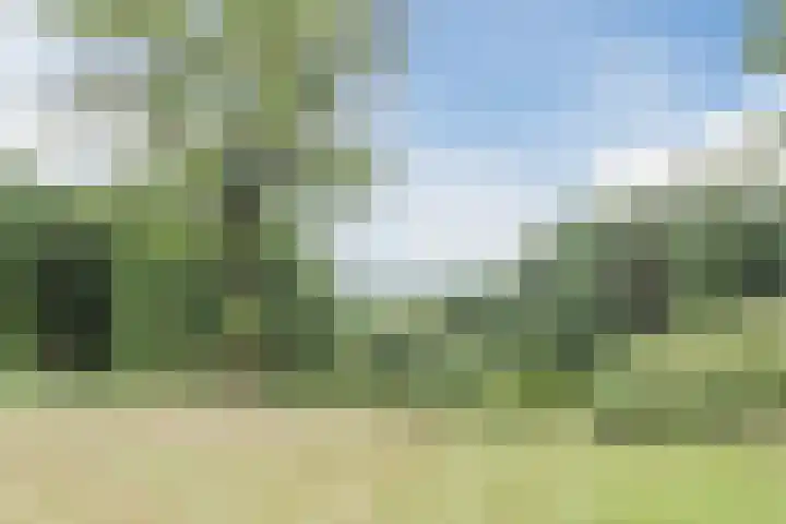 Oude Kleefsebaan 163 Berg en Dal thumbnail 44