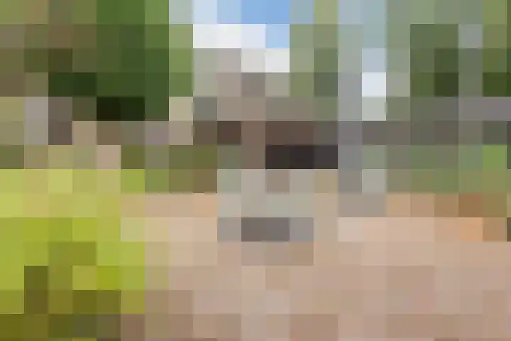 Oude Kleefsebaan 163 Berg en Dal thumbnail 45