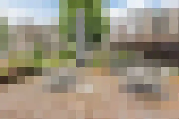 Oude Kleefsebaan 163 Berg en Dal thumbnail 46