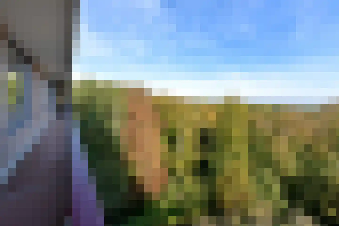 Oude Kleefsebaan 167 Berg en Dal thumbnail 21
