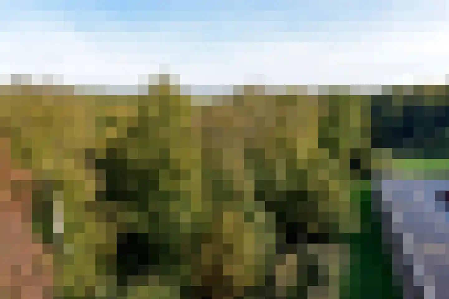 Oude Kleefsebaan 167 Berg en Dal thumbnail 22