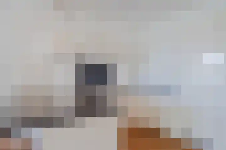 Oude Kleefsebaan 183 Berg en Dal thumbnail 12