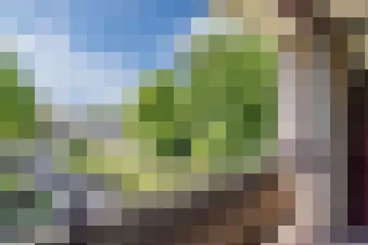 Oude Kleefsebaan 183 Berg en Dal thumbnail 26