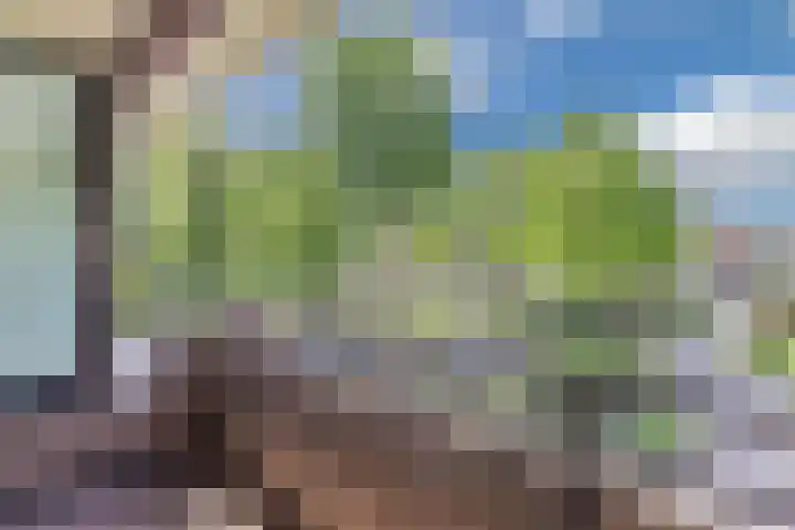 Oude Kleefsebaan 183 Berg en Dal thumbnail 27