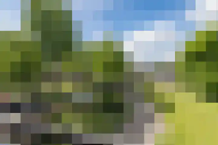 Oude Kleefsebaan 183 Berg en Dal thumbnail 28