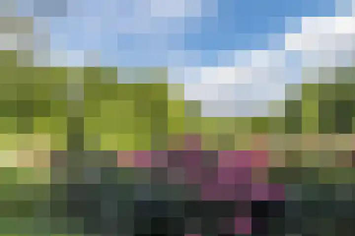 Oude Kleefsebaan 183 Berg en Dal thumbnail 39