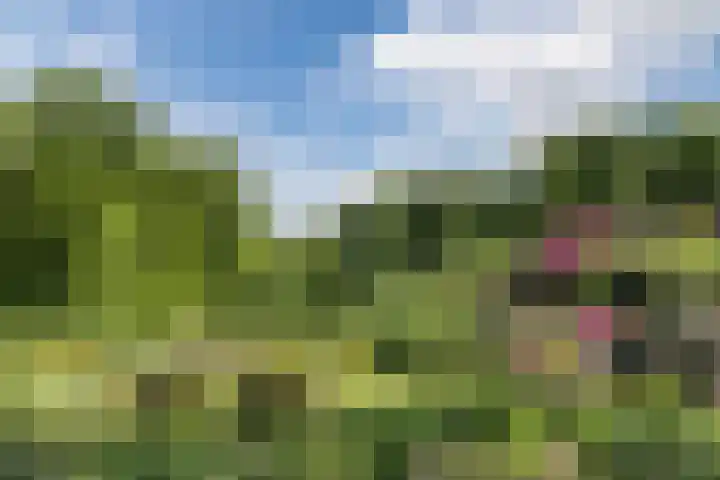 Oude Kleefsebaan 183 Berg en Dal thumbnail 40