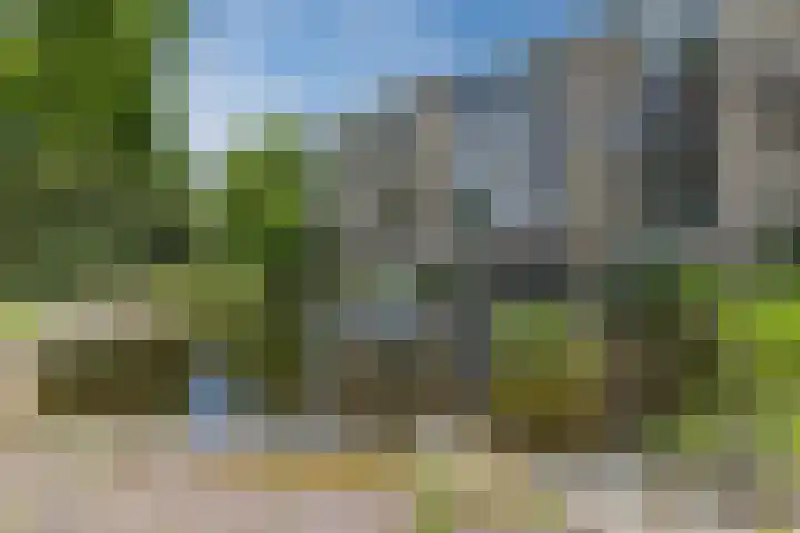 Oude Kleefsebaan 183 Berg en Dal thumbnail 42