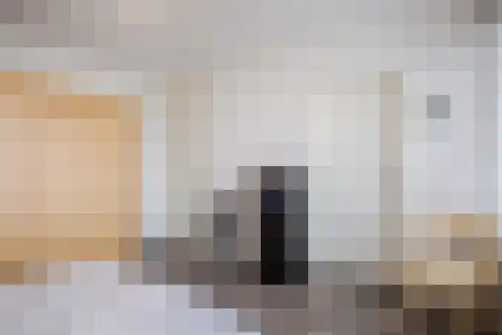 Oude Kleefsebaan 185 Berg en Dal thumbnail 13