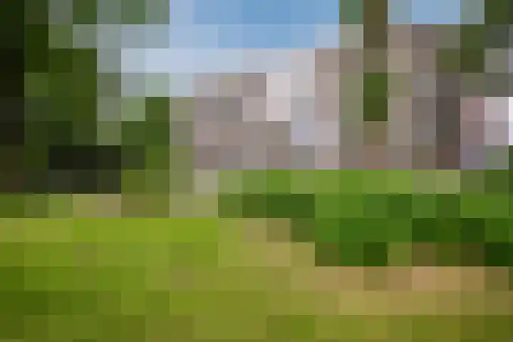 Oude Kleefsebaan 185 Berg en Dal thumbnail 19