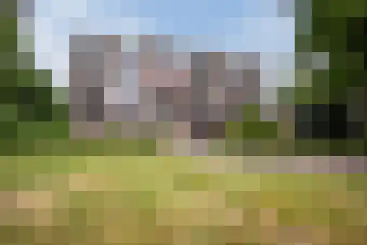 Oude Kleefsebaan 185 Berg en Dal thumbnail 20