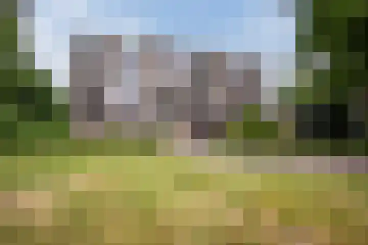 Oude Kleefsebaan 185 Berg en Dal thumbnail 23