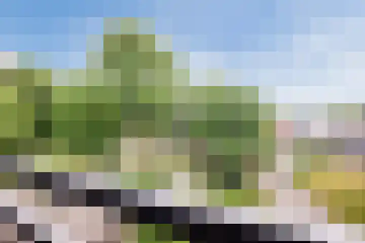 Oude Kleefsebaan 185 Berg en Dal thumbnail 6