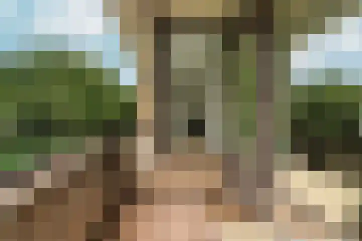 Oude Kleefsebaan 195 Berg en Dal thumbnail 10
